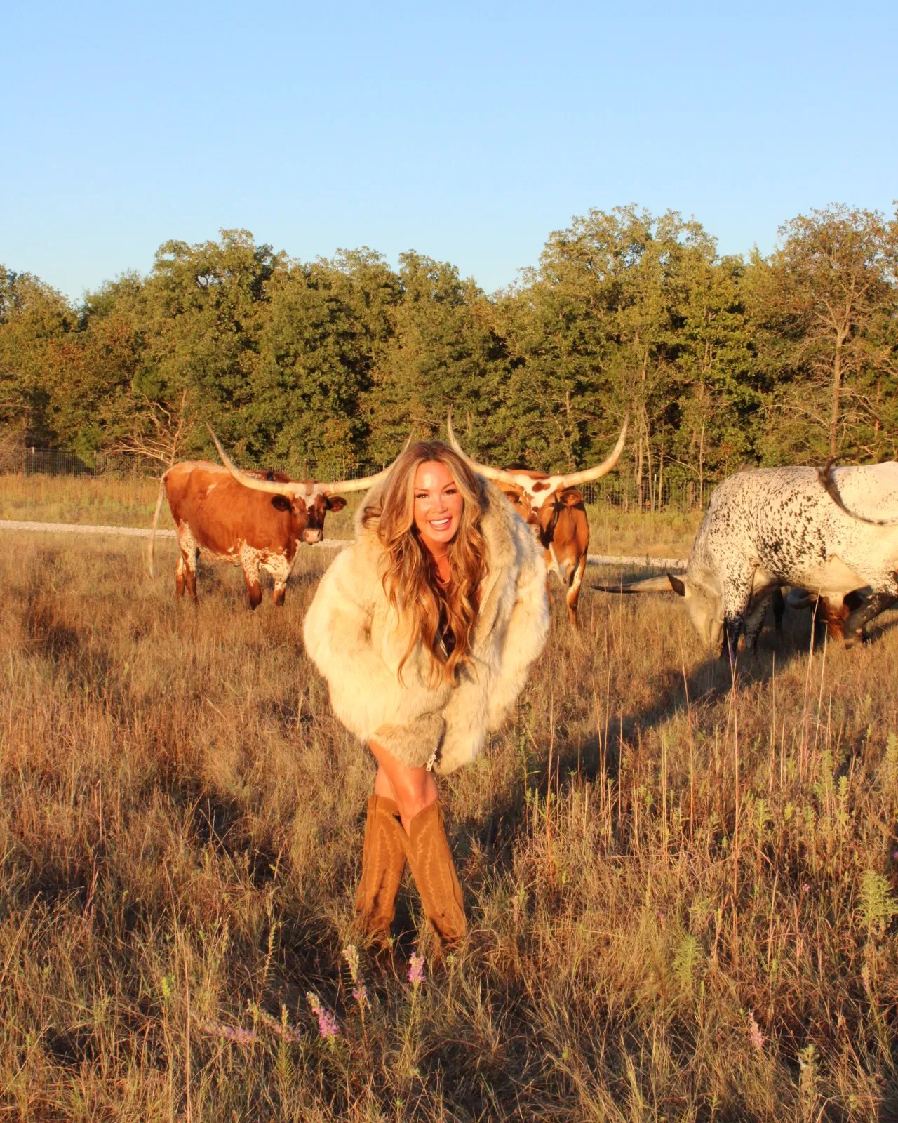 Jenn Hill in a field with longhorn cattle at sunset